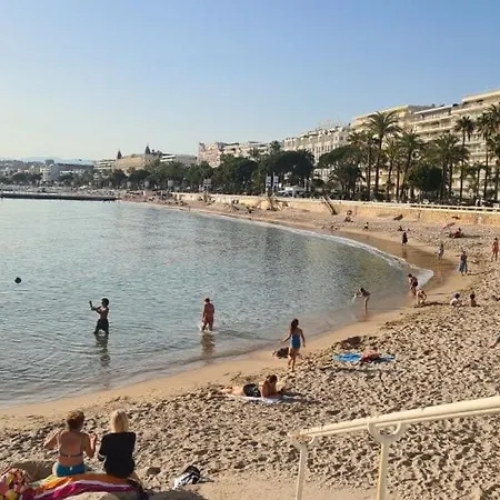 2p Terrasse Croisette 100 Meters *