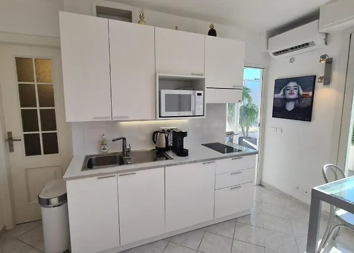 2p Terrasse Croisette 100 Meters Daire Cannes