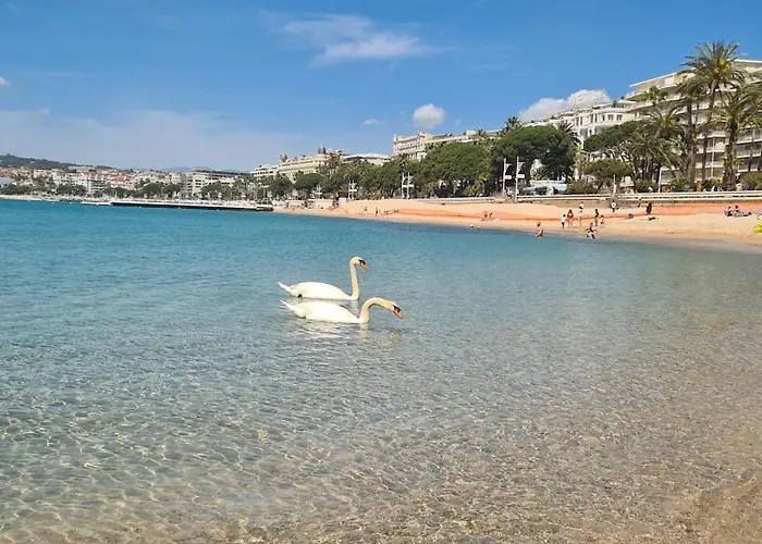 Daire 2p Terrasse Croisette 100 Meters